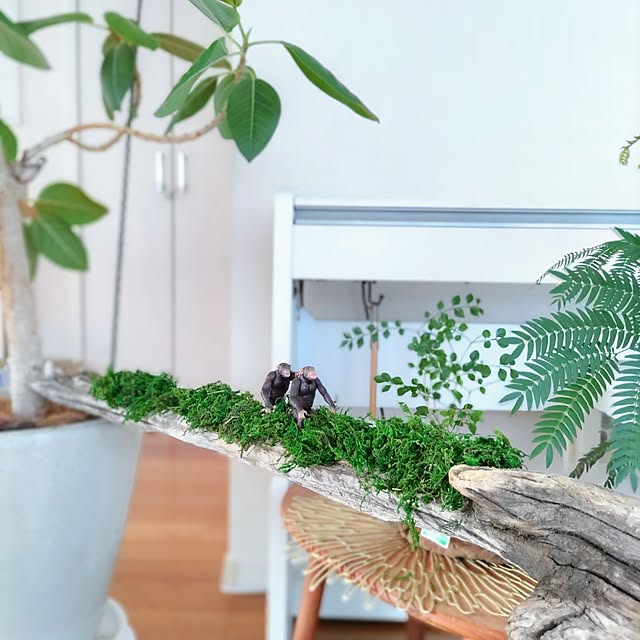 Haさんの部屋