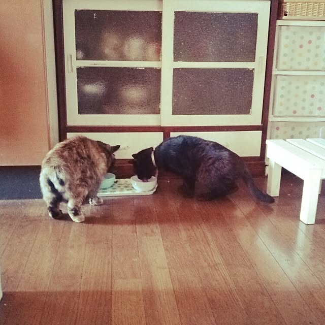 sachiさんの実例写真