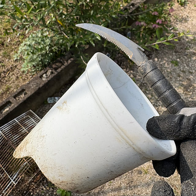 mayumiさんの部屋