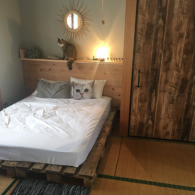 Mikaさんの実例写真