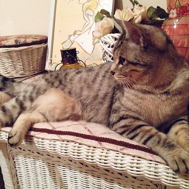 mimiishizawaさんの実例写真