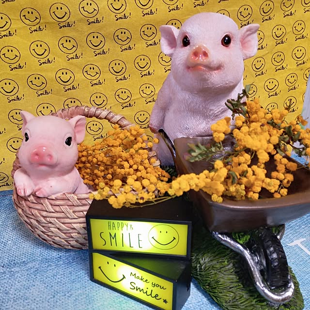 mocomocoさんの部屋