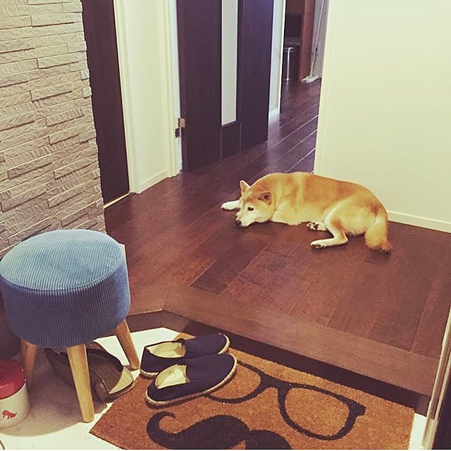 daichingさんの実例写真