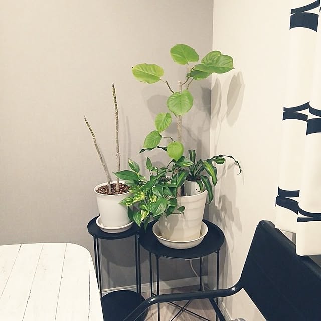 kaanaさんの実例写真