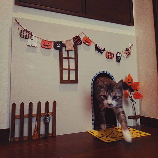 Mikaさんの実例写真
