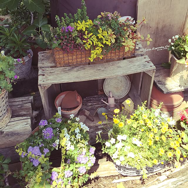 pinkroseさんの実例写真