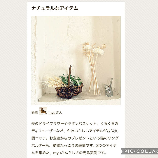 myuさんの実例写真