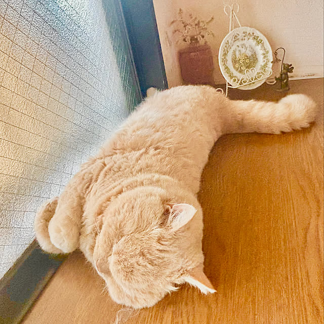 naokoさんの部屋