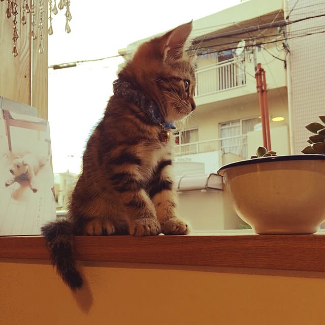 takubou821さんの実例写真