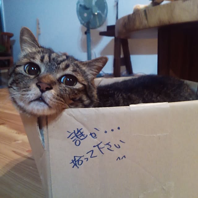 500cinquさんの実例写真