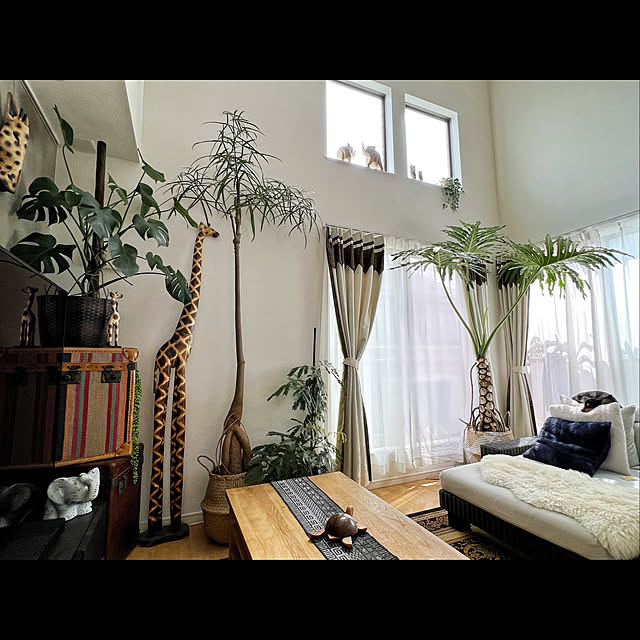 h_a_n_a_y_u_iさんの実例写真