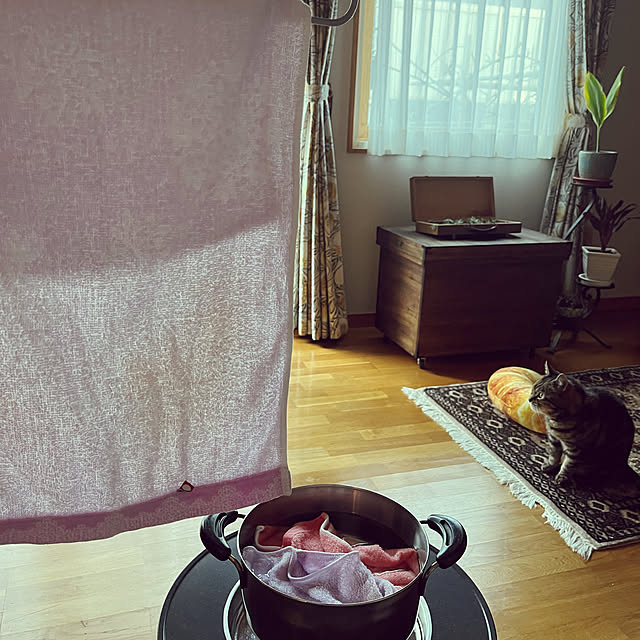 botanさんの実例写真