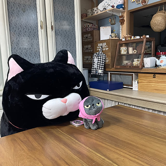 机/マチコさん可愛すぎる/イカ耳/マチコさんのぬいぐるみ/Angry machiko...などのインテリア実例 - 2025-02-14 14:48:42