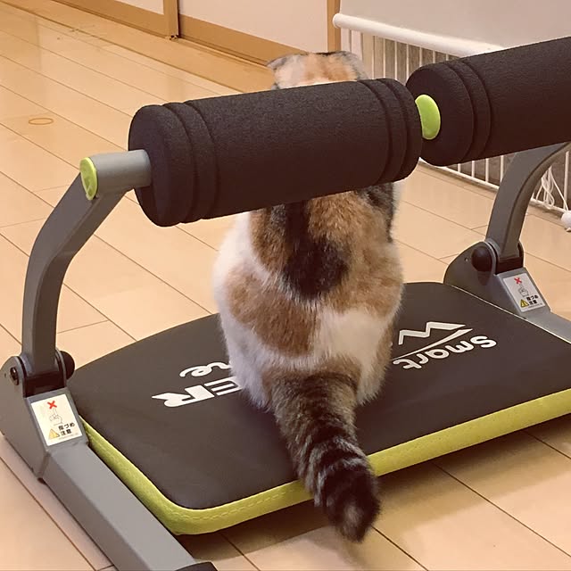 yokkochanさんの実例写真