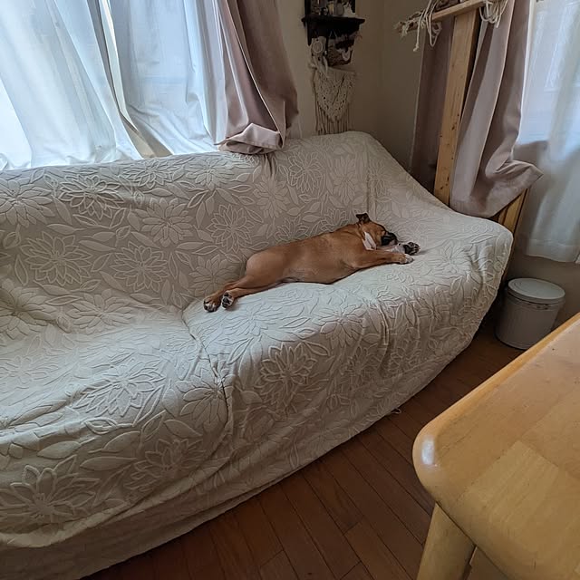 chi_gogaさんの部屋