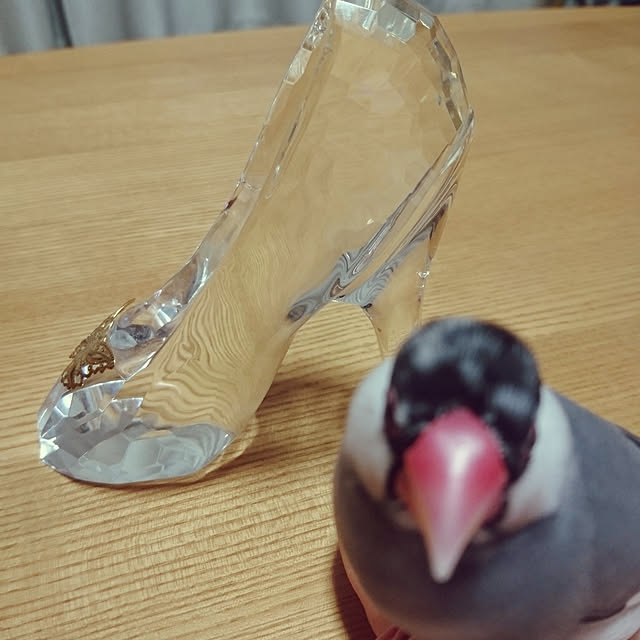 ponkichiさんの実例写真