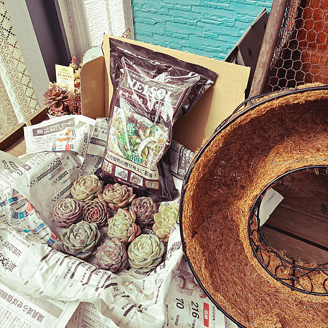 buchikoさんの部屋