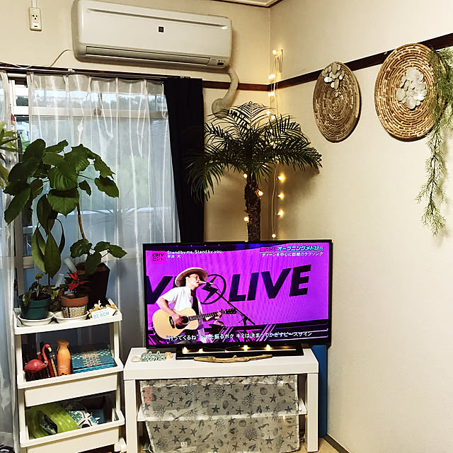 ariceさんの実例写真