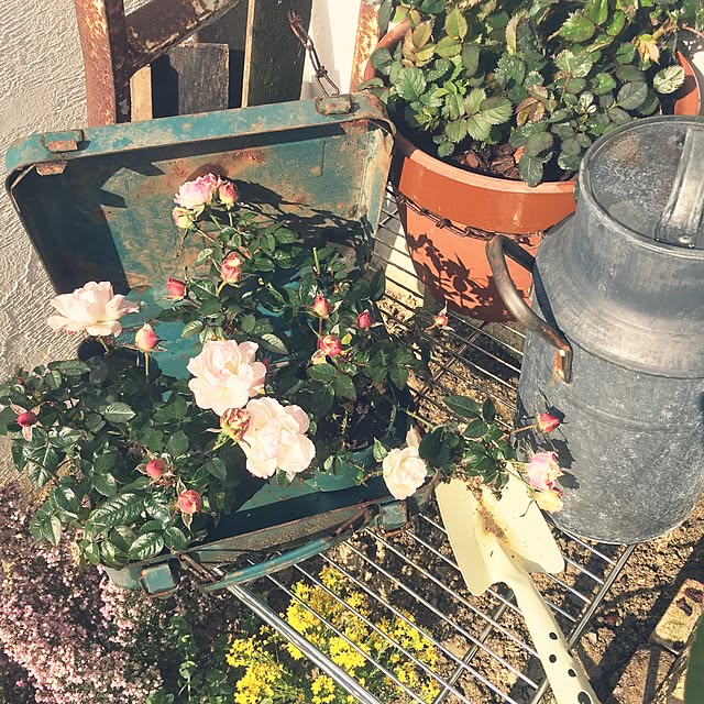 cocco0505さんの実例写真