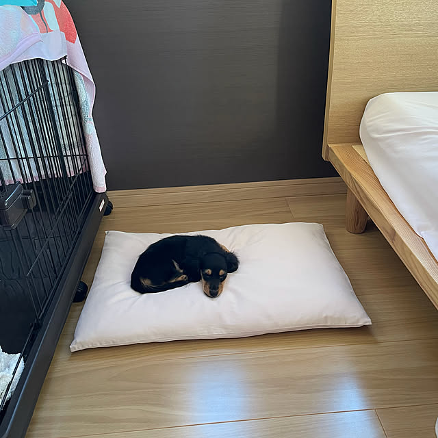 TOMOさんの実例写真