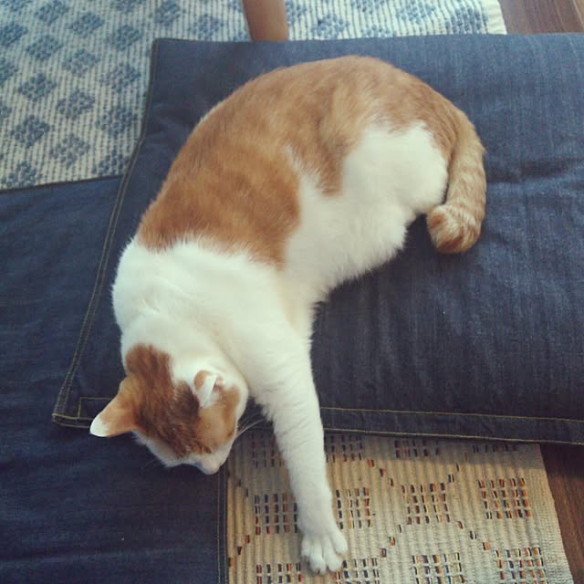 porinさんの実例写真
