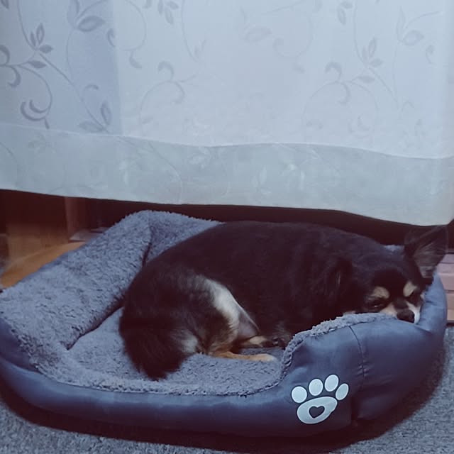 hiro.904さんの部屋