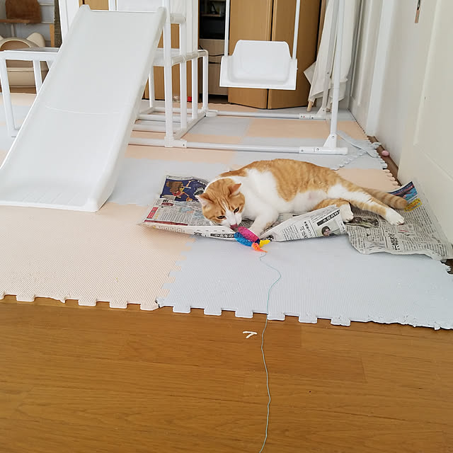 Kinanさんの実例写真
