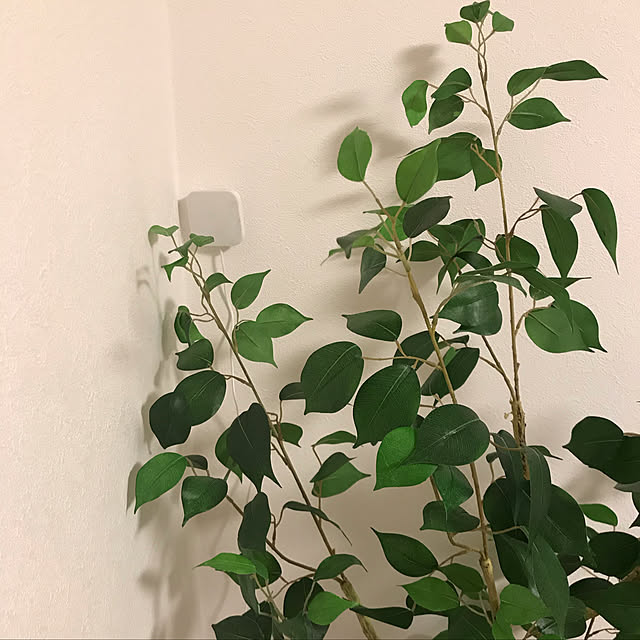 ayaさんの実例写真