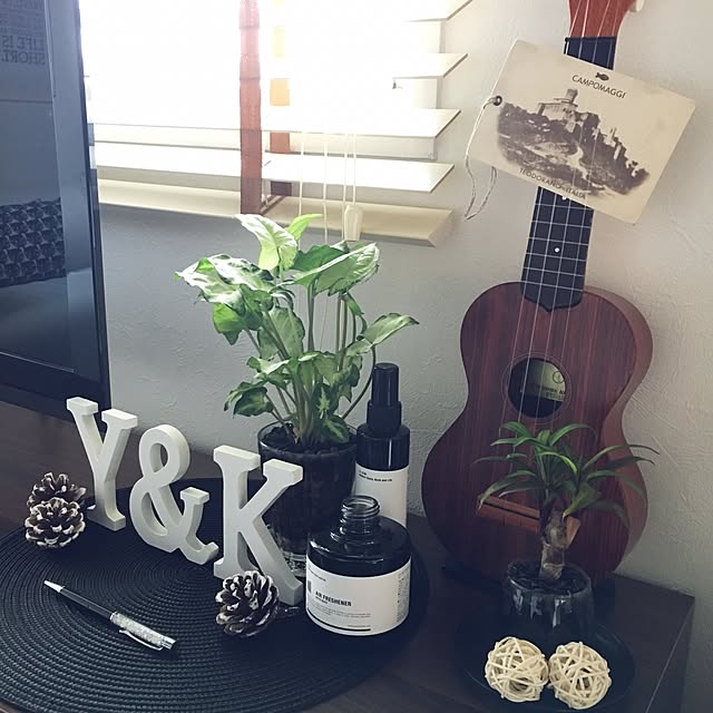 graycats_s.and.aさんの実例写真