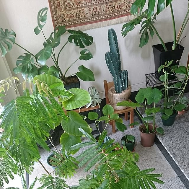 kimiさんの実例写真