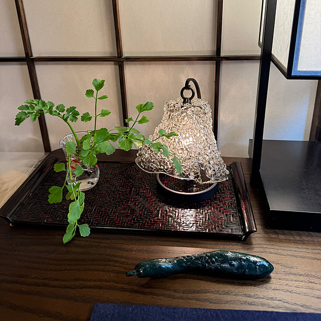 mamizaさんの部屋