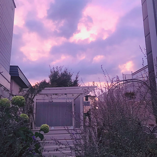 kotoriさんの実例写真
