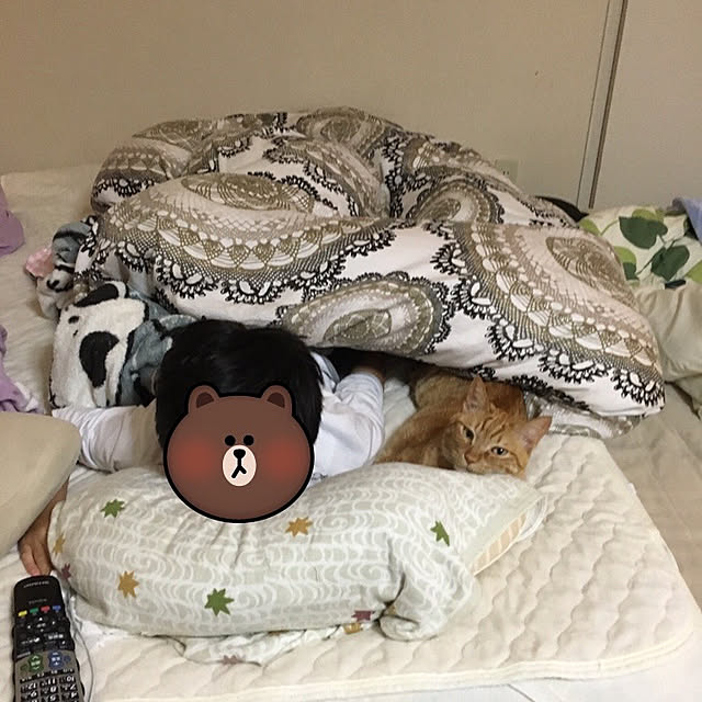 kou-kitiさんの実例写真