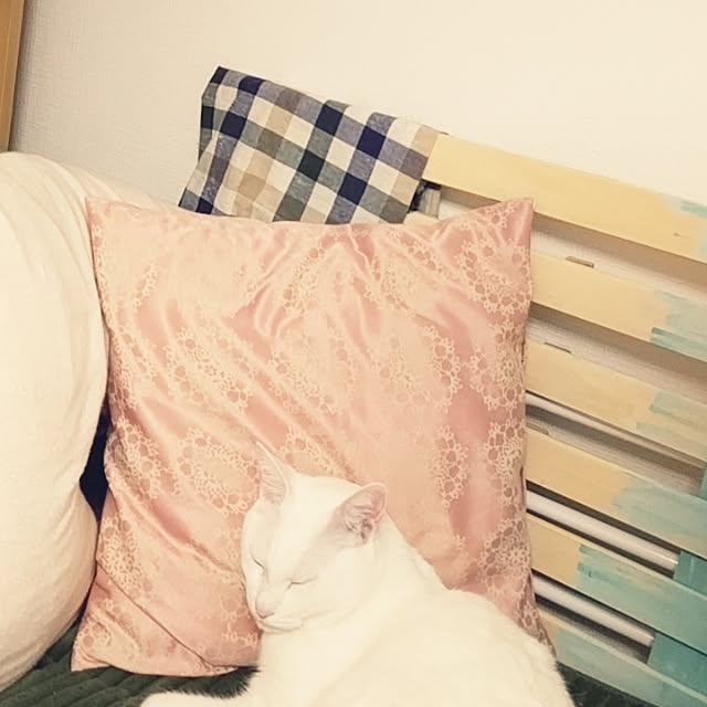 keikomokonさんの実例写真