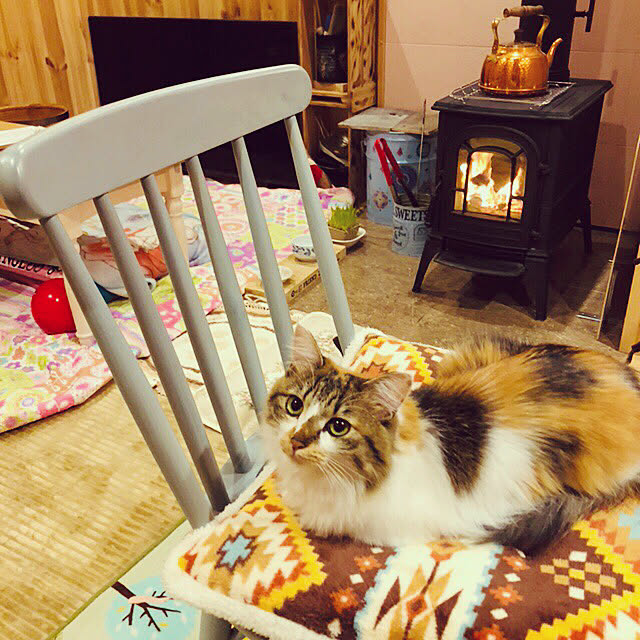 MASAさんの実例写真