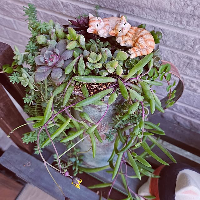 mocomocoさんの部屋