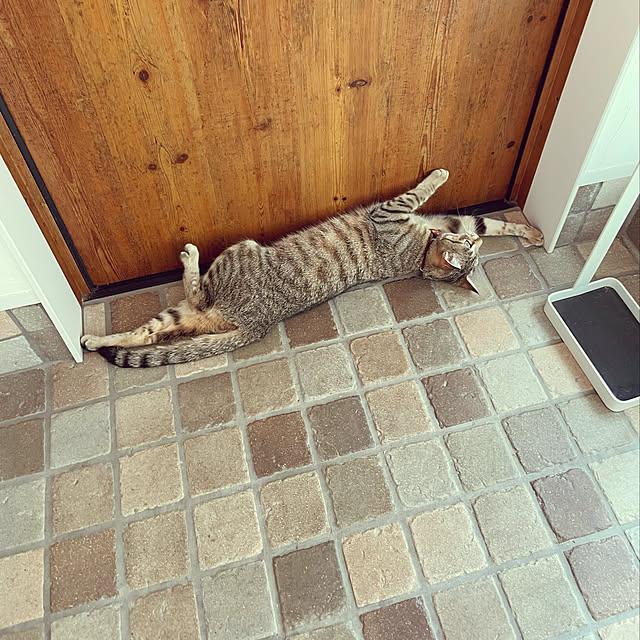 sayapiさんの実例写真