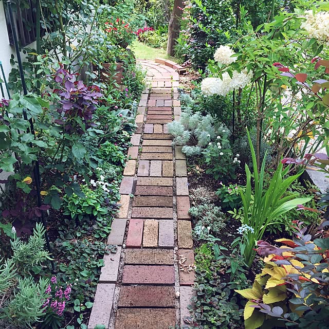 happygardenさんの実例写真