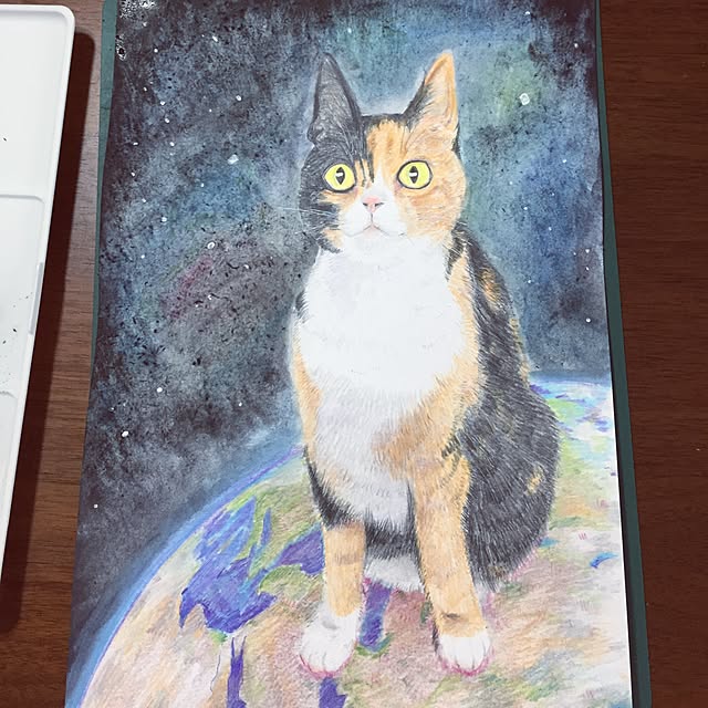 meguchiyoさんの実例写真