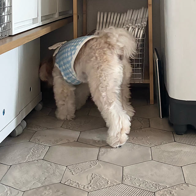 chachamamaさんの部屋