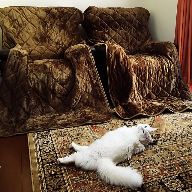 atsushiさんの実例写真