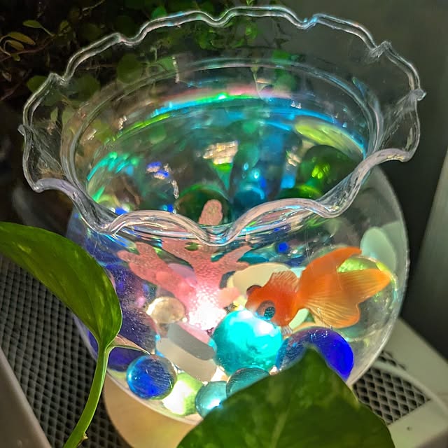 mi-saさんの部屋