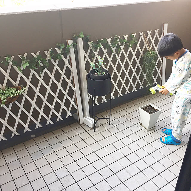 mizさんの実例写真