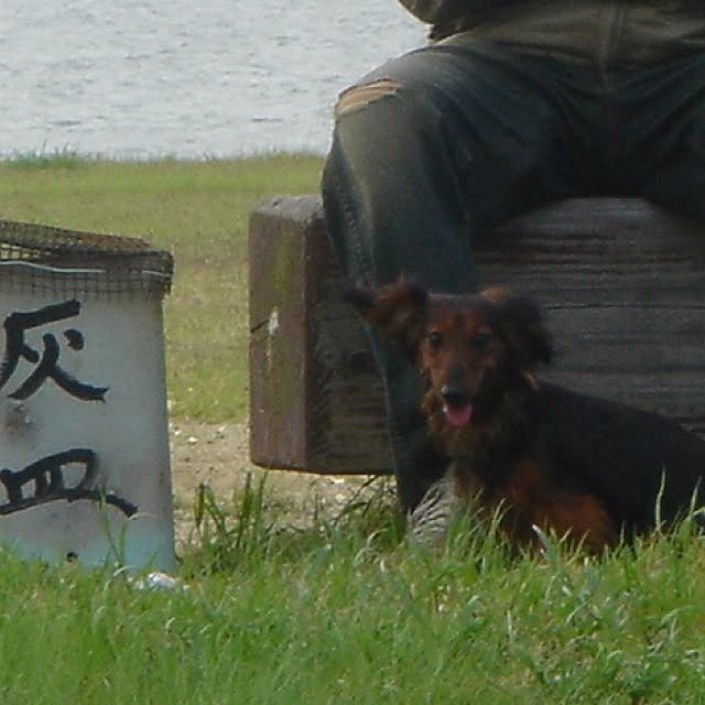 mucさんの実例写真