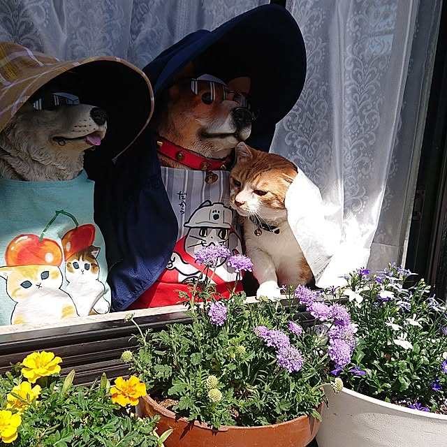 NOAHさんの部屋