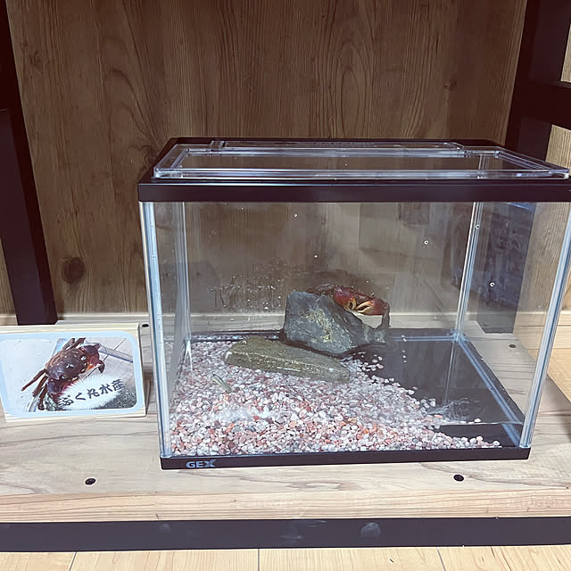 a_familyさんの部屋