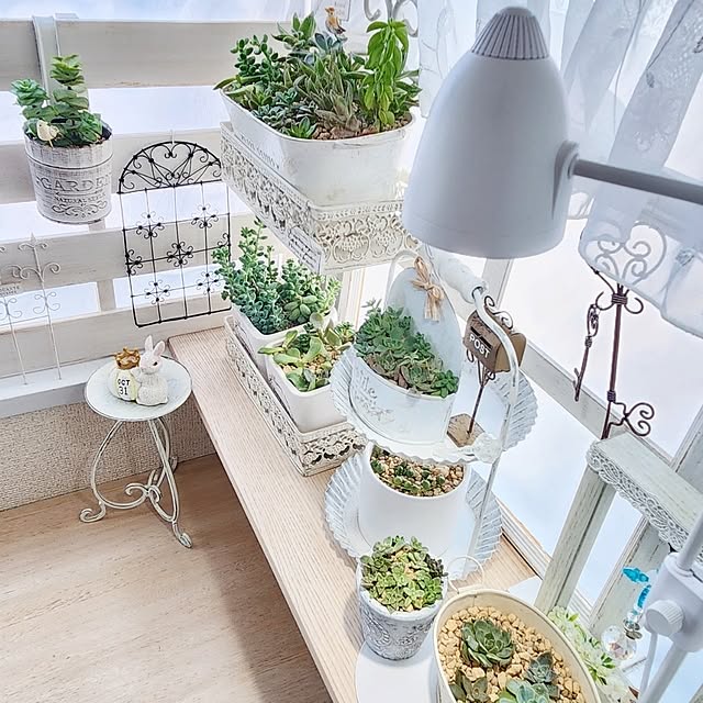 pinonさんの部屋