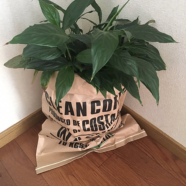 maamiさんの実例写真