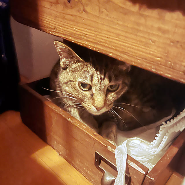 Mさんの部屋