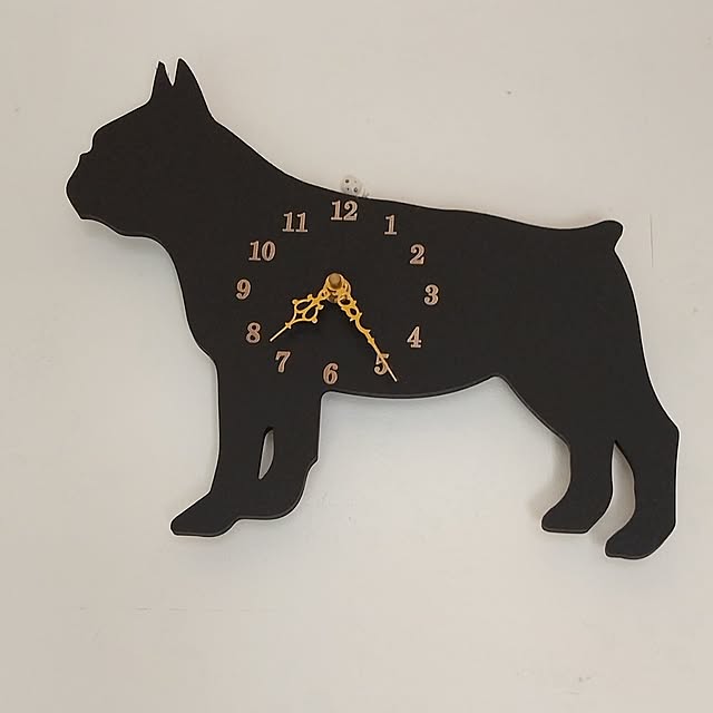 Pakkun-Anさんの実例写真